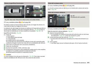 Skoda-Kodiaq-manual-del-propietario page 247 min