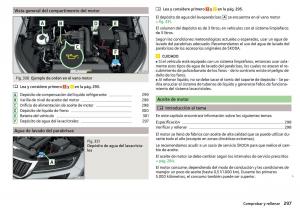 Skoda-Kodiaq-manual-del-propietario page 299 min