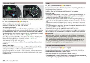 Skoda-Kodiaq-manual-del-propietario page 304 min