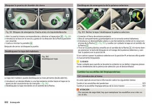 Skoda-Kodiaq-manual-del-propietario page 324 min