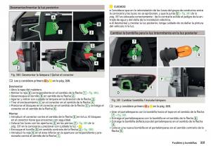 Skoda-Kodiaq-manual-del-propietario page 333 min