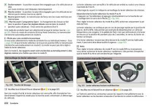 Skoda-Kodiaq-manuel-du-proprietaire page 224 min