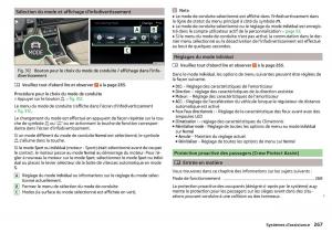 Skoda-Kodiaq-manuel-du-proprietaire page 269 min