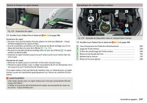 Skoda-Kodiaq-manuel-du-proprietaire page 299 min