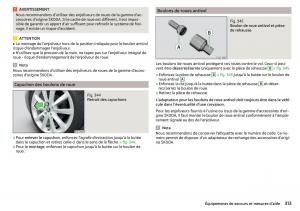 Skoda-Kodiaq-manuel-du-proprietaire page 315 min