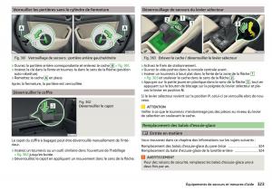 Skoda-Kodiaq-manuel-du-proprietaire page 325 min