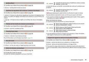 Skoda-Kodiaq-manuel-du-proprietaire page 43 min