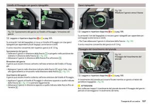 Skoda-Kodiaq-manuale-del-proprietario page 109 min