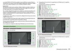 Skoda-Kodiaq-manuale-del-proprietario page 129 min