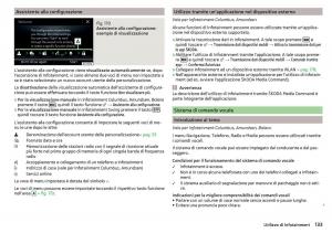 Skoda-Kodiaq-manuale-del-proprietario page 135 min