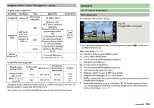 Skoda-Kodiaq-manuale-del-proprietario page 161 min