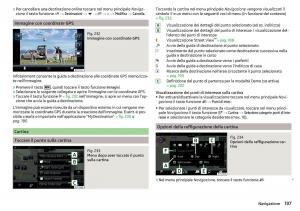 Skoda-Kodiaq-manuale-del-proprietario page 199 min