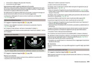 Skoda-Kodiaq-manuale-del-proprietario page 251 min