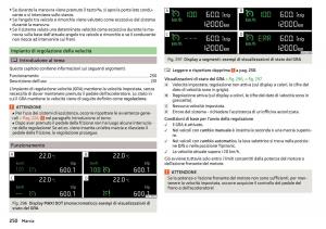 Skoda-Kodiaq-manuale-del-proprietario page 252 min