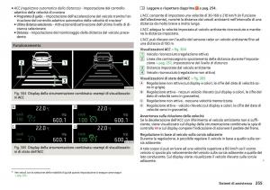 Skoda-Kodiaq-manuale-del-proprietario page 257 min