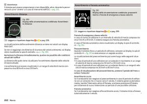 Skoda-Kodiaq-manuale-del-proprietario page 262 min