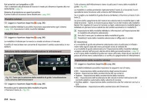 Skoda-Kodiaq-manuale-del-proprietario page 266 min