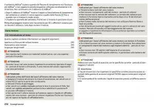 Skoda-Kodiaq-manuale-del-proprietario page 294 min