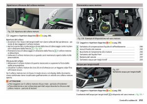 Skoda-Kodiaq-manuale-del-proprietario page 295 min