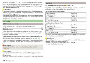 Skoda-Kodiaq-manuale-del-proprietario page 296 min