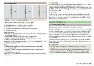 Skoda-Kodiaq-manuale-del-proprietario page 297 min