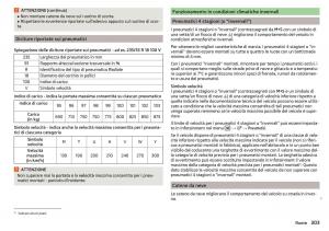 Skoda-Kodiaq-manuale-del-proprietario page 305 min