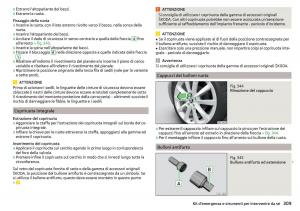 Skoda-Kodiaq-manuale-del-proprietario page 311 min