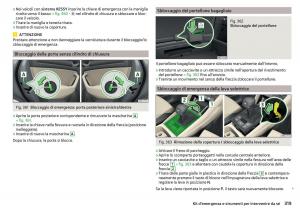 Skoda-Kodiaq-manuale-del-proprietario page 321 min