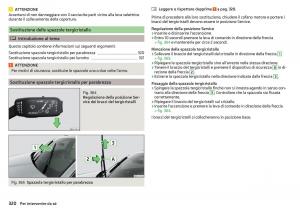 Skoda-Kodiaq-manuale-del-proprietario page 322 min