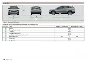 Skoda-Kodiaq-manuale-del-proprietario page 336 min