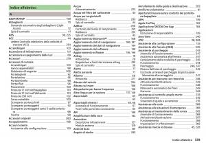 Skoda-Kodiaq-manuale-del-proprietario page 341 min