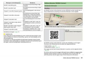 Skoda-Kodiaq-handleiding page 123 min