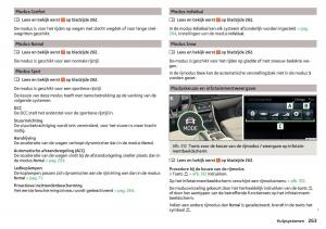 Skoda-Kodiaq-handleiding page 265 min