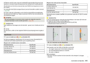 Skoda-Kodiaq-handleiding page 295 min