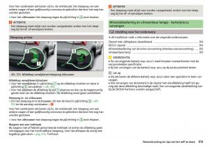 Skoda-Kodiaq-handleiding page 315 min