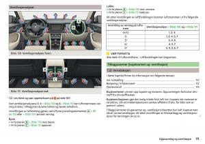 Skoda-Kodiaq-bruksanvisningen page 113 min