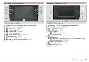 Skoda-Kodiaq-bruksanvisningen page 121 min
