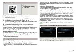 Skoda-Kodiaq-bruksanvisningen page 159 min