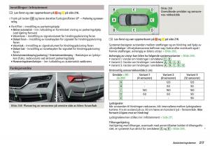 Skoda-Kodiaq-bruksanvisningen page 219 min