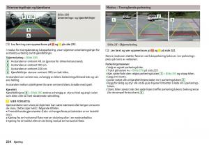 Skoda-Kodiaq-bruksanvisningen page 226 min