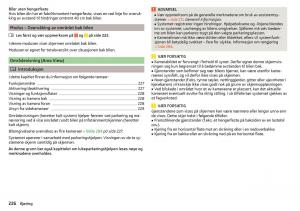 Skoda-Kodiaq-bruksanvisningen page 228 min