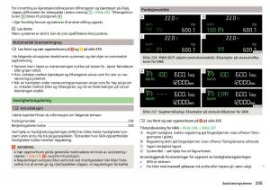 Skoda-Kodiaq-bruksanvisningen page 237 min