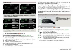 Skoda-Kodiaq-bruksanvisningen page 239 min