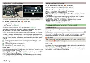 Skoda-Kodiaq-bruksanvisningen page 250 min