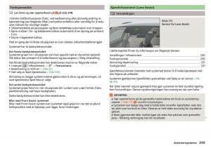 Skoda-Kodiaq-bruksanvisningen page 251 min