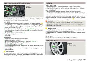 Skoda-Kodiaq-bruksanvisningen page 289 min