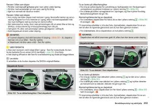 Skoda-Kodiaq-bruksanvisningen page 295 min