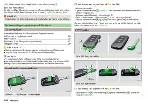 Skoda-Kodiaq-bruksanvisningen page 296 min