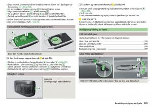 Skoda-Kodiaq-bruksanvisningen page 297 min