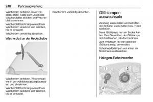 Opel-Zafira-C-Tourer-Handbuch page 248 min